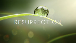 Resurrection