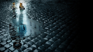 The Missing
