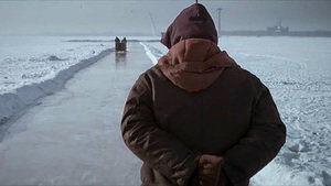 Black Coal, Thin Ice