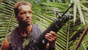 Predator
