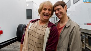 Dumb and Dumber To