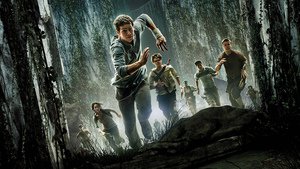 The Maze Runner