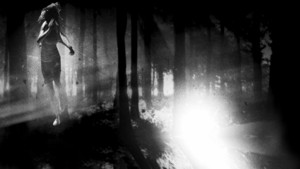 And Soon the Darkness