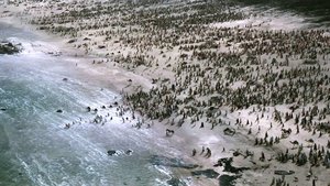 Exodus: Gods and Kings