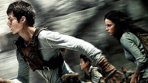 The Maze Runner