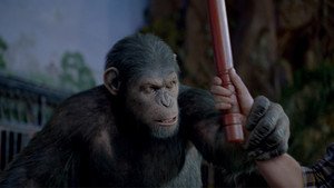 Rise of the Planet of the Apes