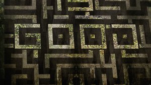 The Maze Runner