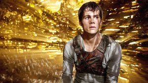 The Maze Runner